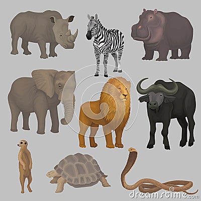 Wild african animals set, hippopotamus, elephant, giraffe, rhinoceros, turtle, buffalo, zebra, lion, snake vector Vector Illustration