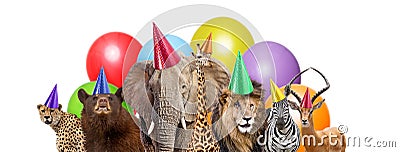 Wild Animal Birthday Party Web Banner Stock Photo