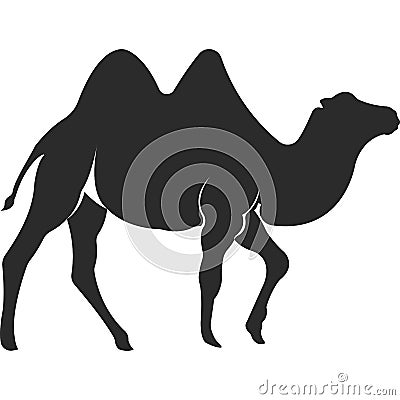 Wild animal camel. Camel with two humps. Vector Illustration