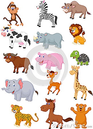 Wild animal cartoon collection Vector Illustration