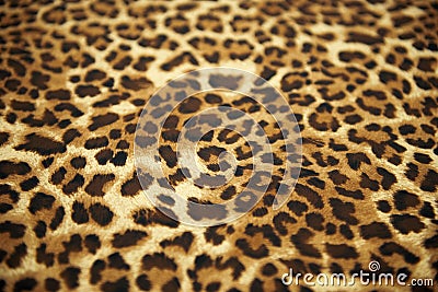 Wild animal pattern Stock Photo