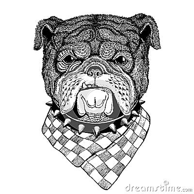 Dog, bulldog. Wild animal for tattoo, nursery poster, children tee, clothing, posters, emblem, badge, logo, patch Vector Illustration