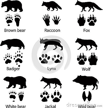 Wild animals Vector Illustration