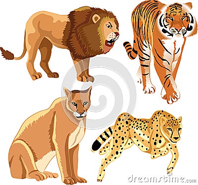 Wild Animals Stock Photo