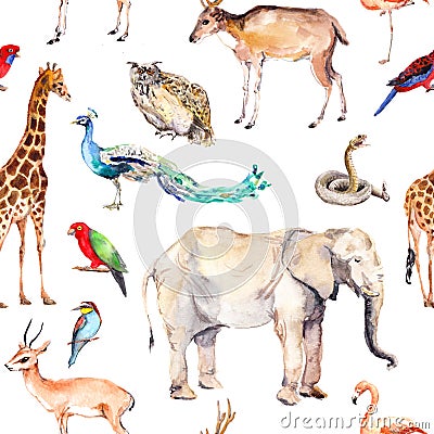 Wild animals and birds - zoo, wildlife - elephant, giraffe, deer, owl, parrot, other . Seamless pattern. Watercolor Stock Photo