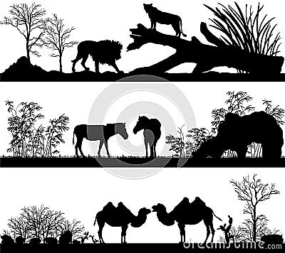 Wild animals (lion, horse, pony, zebra, camel) Cartoon Illustration