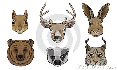 Wild Animals Muzzles Vector Set. Highly Detailed Neb Collection Vector Illustration