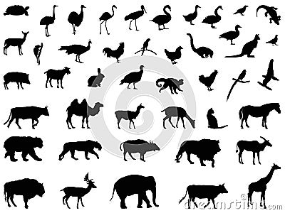 Wild animals silhouette - undomesticated animal species Vector Illustration