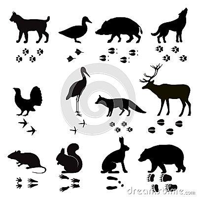 Wild animals vector paw footsteps black silhouette Vector Illustration