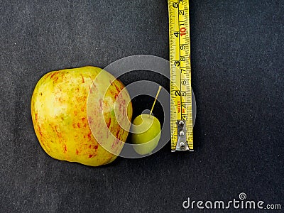 Wild apple Stock Photo