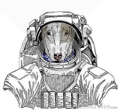 Wild astronaut animal in spacesuit. Deep space. Galaxy. Dog portrait, bullterrier portrait, bullterrier head, dog head Vector Illustration