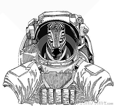 Zebra vector portrait. Wild astronaut animal in spacesuit. Deep space. Galaxy. Head of african wild animal zebra. Vector Illustration