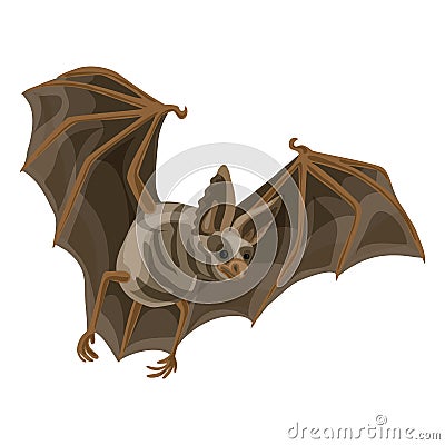 Wild bat icon, cartoon style Vector Illustration