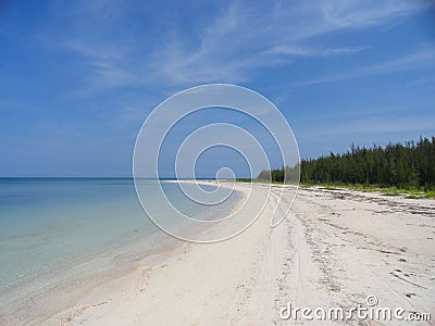 Wild Beach Stock Photo