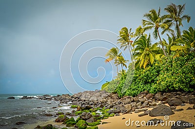 Wild Beach Stock Photo