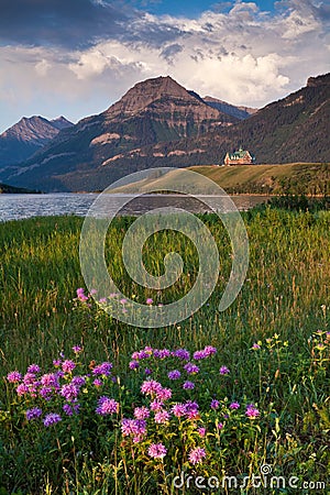 Wild Bergamot and the Prince of Wales Hotel in Waterton Lakes National Park Stock Photo