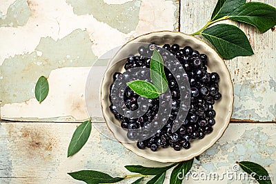 Wild berries, Northern berry: lingonberry, blueberry, Bowl of fresh maqui berry on light background, top view Stock Photo