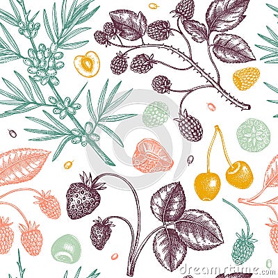 Wild berries sketches seamless pattern. Hand drawn berry vintage vector background. Summer fruit backdrop - strawberry, cranberry Vector Illustration