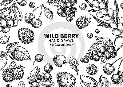 Wild berry drawing. Hand drawn vintage vector frame. Summer fruit set Vector Illustration