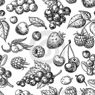 Wild berry seamless pattern drawing. Hand drawn vintage vector background. Vector Illustration