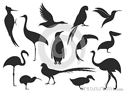 Wild Bird. Bird Silhouette Vector Illustration