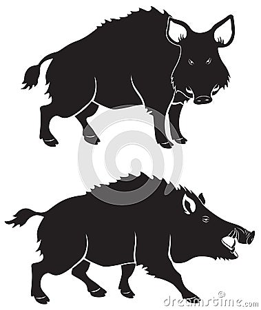 Wild boar Vector Illustration