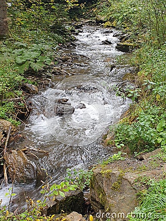 Wild brook in a small gorge in Austria Stock Photo