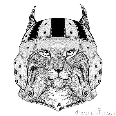 Wild cat Lynx Bobcat Trot Wild animal wearing rugby helmet Sport illustration Vector Illustration