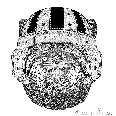 Wild cat Manul Wild animal wearing rugby helmet Sport illustration Vector Illustration