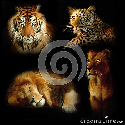 Wild cats Stock Photo