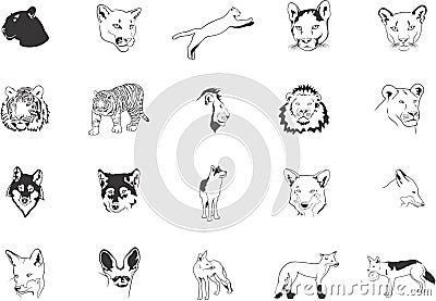 Wild cats and foxes Vector Illustration