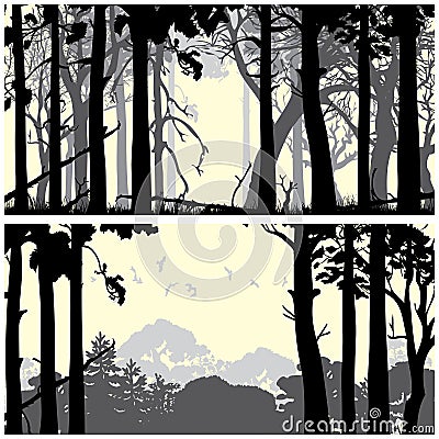 Wild coniferous forest Vector Illustration