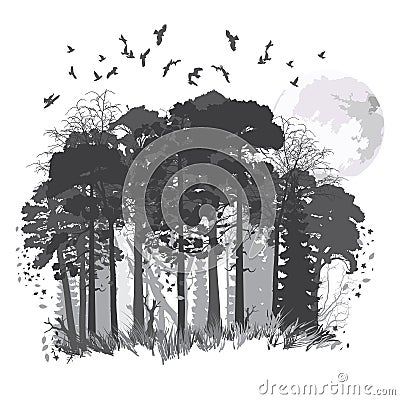 Wild coniferous forest Cartoon Illustration