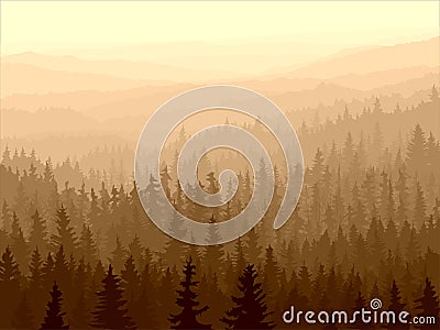Wild coniferous wood in morning fog. Vector Illustration