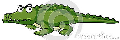 Wild crocodile on white background Vector Illustration