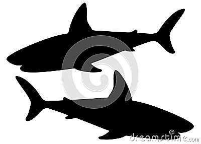 Wild and dangerous sharks. Vector Illustration