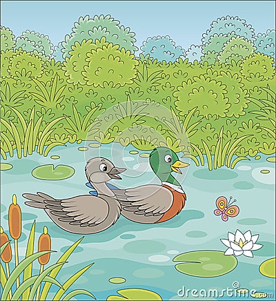 Wild ducks on a lake Vector Illustration