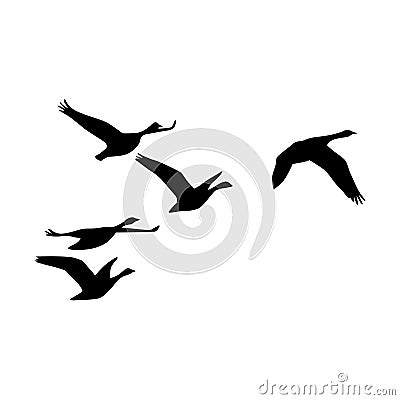 Wild ducks Vector Illustration