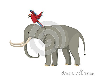 Wild elephant and macaw animals nature Vector Illustration