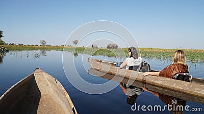 Wild Elephants seen on a river during a canoe safari in the Moremi Game Reserve in Okavango Delta, Botswana. Editorial Stock Photo