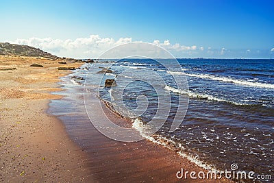 Wild empty beach on the sea coast Stock Photo