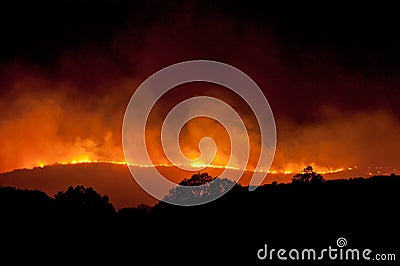 Wild Fire at Night Stock Photo