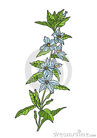 Wild flower. Hand drawn herbal flowers isolated on white background. vector illustration. Outline style Cartoon Illustration