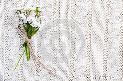 Wild flowers on a beige knitted texture Stock Photo