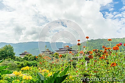 Wild flowers blooms in the fields in paro bhutan in october Editorial Stock Photo