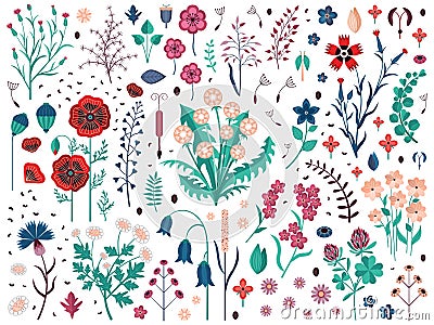 Wild Flowers Herbs and Field Plants Set Vector Illustration