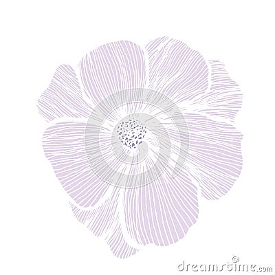 Beauty purple flower picture design Vector Illustration