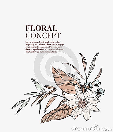 Wild flowers romantic bouquet, elegant romantic botanical concept. Garden floral bloom with outline art: pampas grass, white Vector Illustration