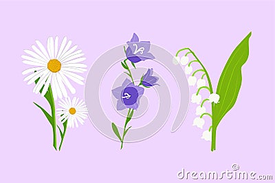 Wild flowers set. Vector daisy, bell flower and Lily of the valley isolated on light violet background. Vector Illustration