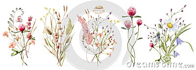 Wild flowers watercolor bouquet botanical hand drawn illustration Cartoon Illustration